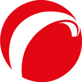 Logo Wolf paragliding service rund