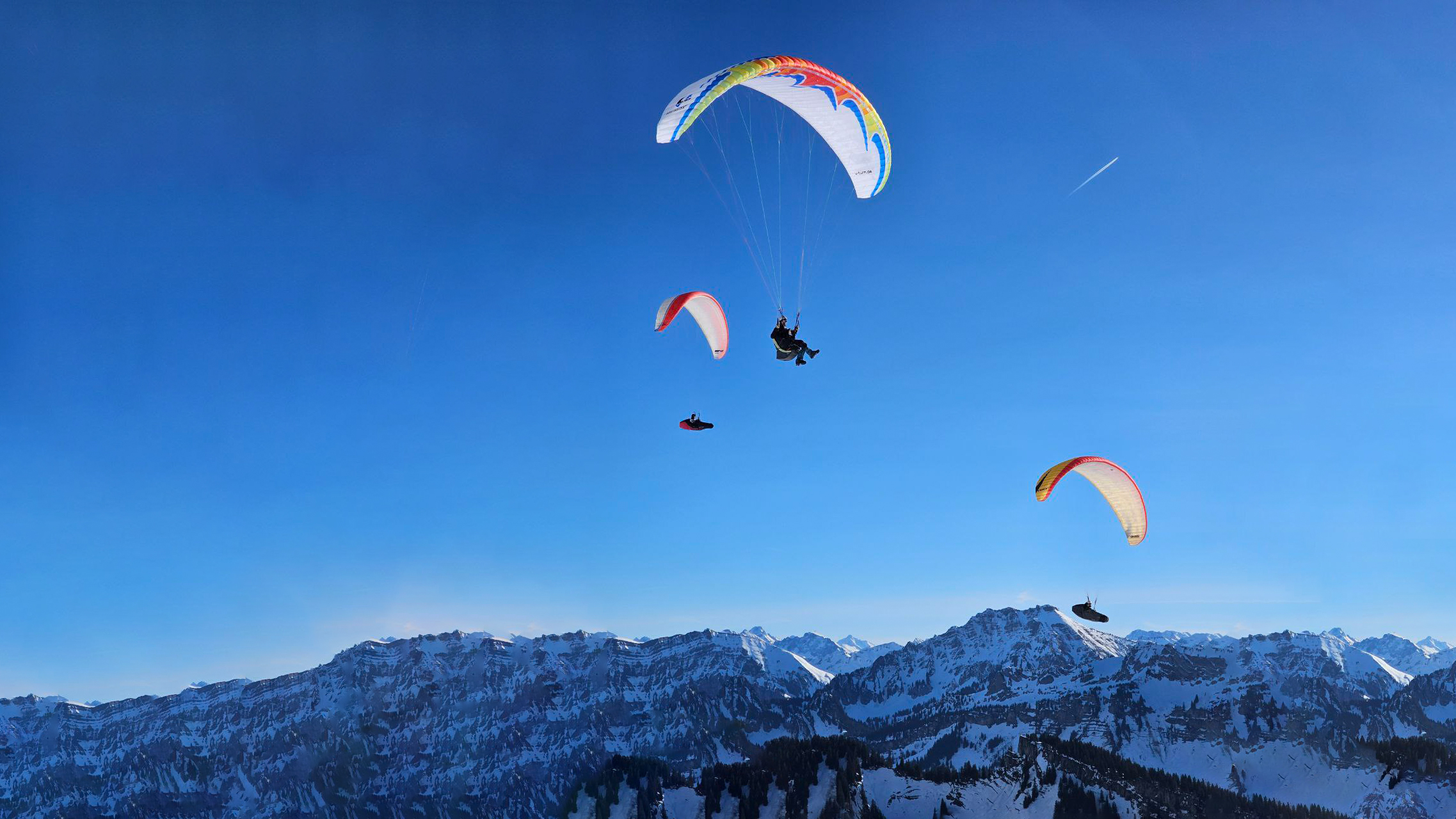 Gleitschirm Check bei Wolf paragliding service